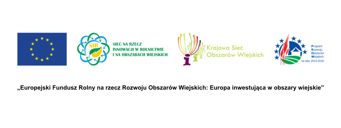  Od lewej w rzędzie logotypy Unii Europejskiej, SIR, KSOW i PROW.