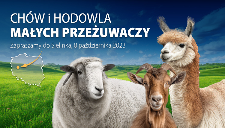 Dzień ze zwierzętami w Sielinku - zapraszamy 8 października! Grafika z owcą, kozą i alpaką.