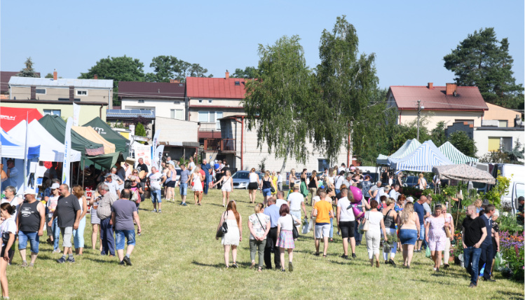 Widok na tłum ludzi na targach.