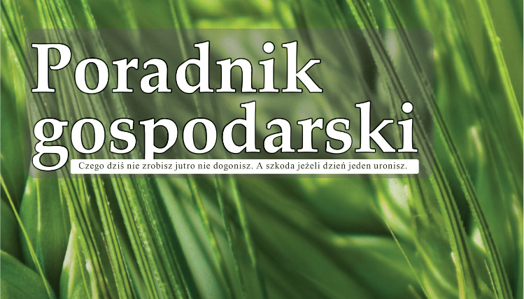 Czerwcowy numer Poradnika Gospodarskiego już dostępny! Biały napis Poradnik gospodarski na zielonym tle.