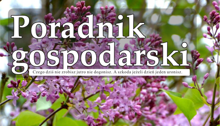 Majowy numer Poradnika Gospodarskiego już dostępny! Napis Poradnik Gospodarski na tle bzu.