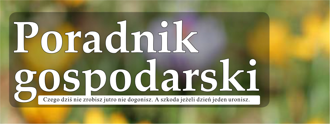 Biały napis Poradnik Gospodarski na rozmytym tle kwiatów.
