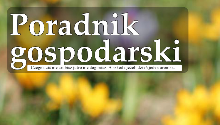 Marcowy numer Poradnika Gospodarskiego już dostępny! Biały napis Poradnik Gospodarski na rozmytym tle kwiatów.