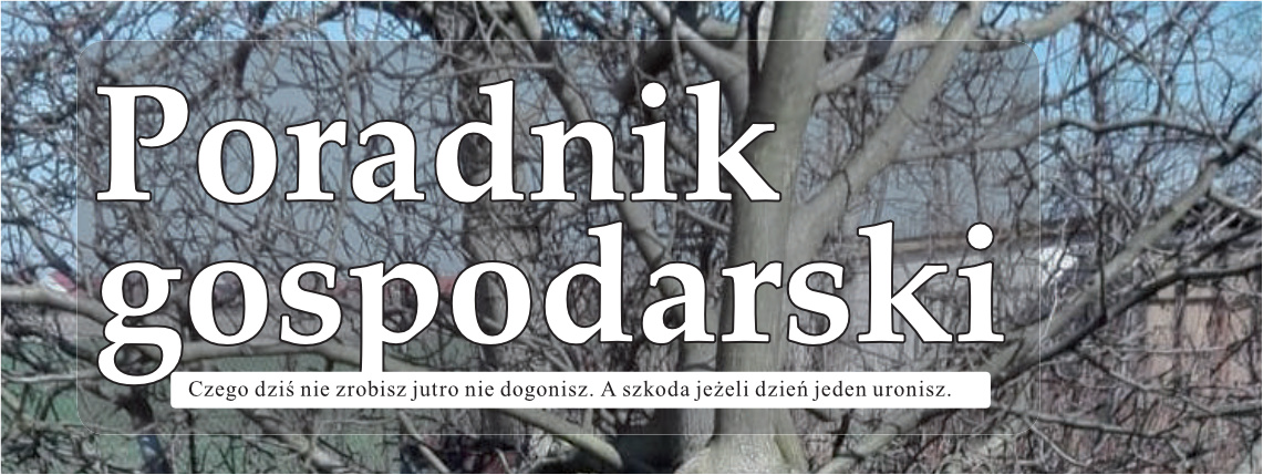 Styczniowy numer Poradnika Gospodarskiego już dostępny! Biały napis Poradnik Gospodarski na tle gałęzi.