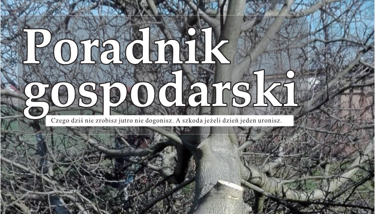 Styczniowy numer Poradnika Gospodarskiego już dostępny! Biały napis Poradnik Gospodarski na tle gałęzi.