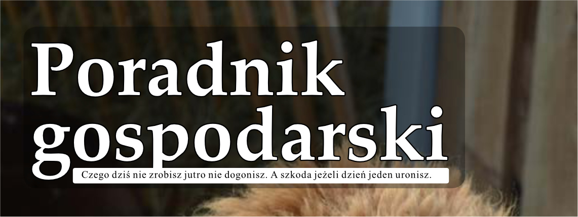Wakacyjny numer Poradnika Gospodarskiego już dostępny! Biały napis Poradnik Gospodarski na ciemnym tle. Widać kawałek głowy alpaki.