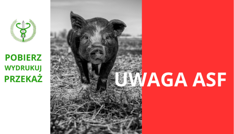 grafika uwaga ASF