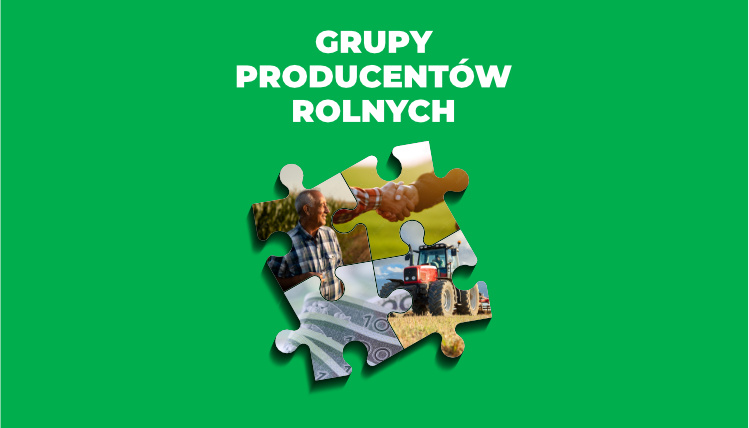 logo grupy