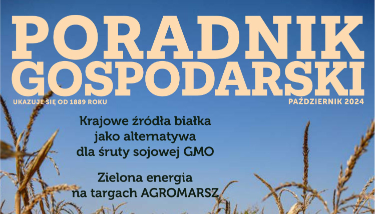 Fragment okładki numeru