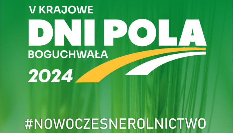 grafika wydarzenia