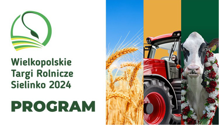 grafika program