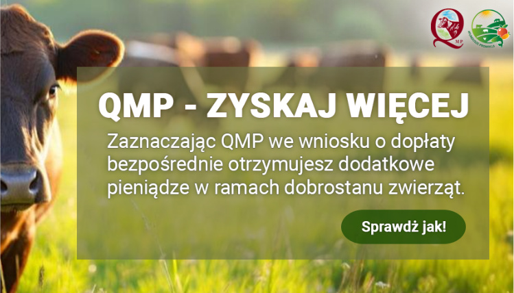 Certyfikat QMP, czas do 31 lipca