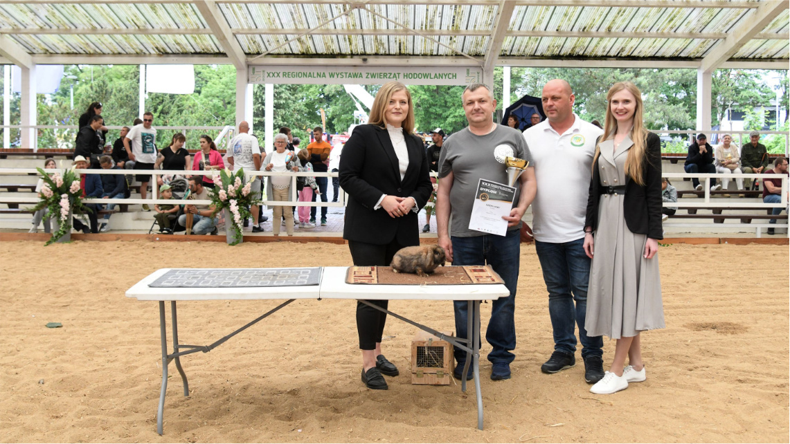 Jerzy Otulakowski (z pucharem), hodowca wiceczempiona w rasie olbrzym srokacz czarny. Puchar i dyplom wręczali (od lewej): Justyna Winiarska, dyrektor WODR w Poznaniu; Artur Handzel, prezes KZHK oraz Wioleta Barczak, komisarz XXX RWZH w Sielinku