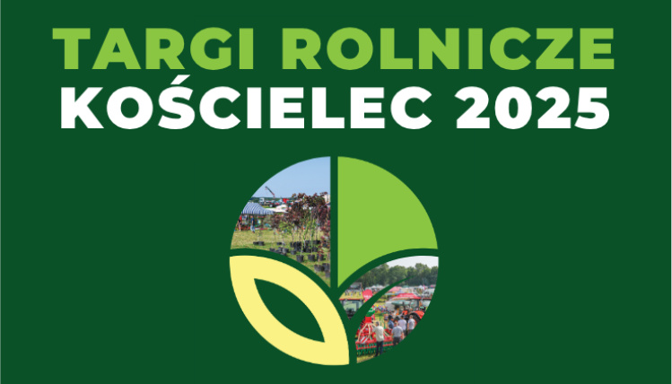Grafika informacyjna