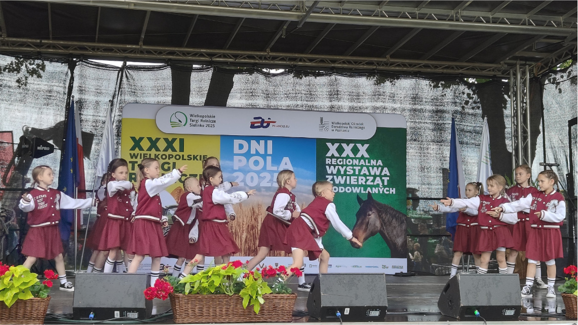 Zespół na scenie