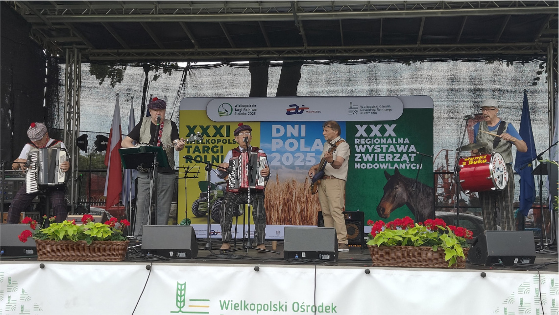 Zespół na scenie