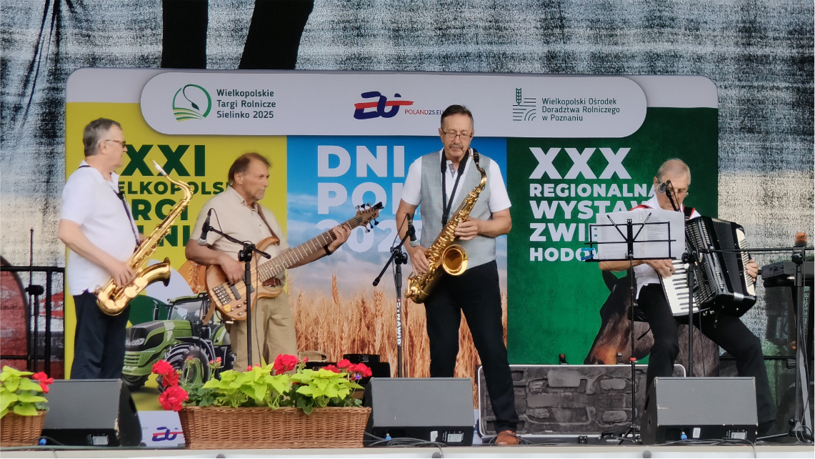 Zespół na scenie