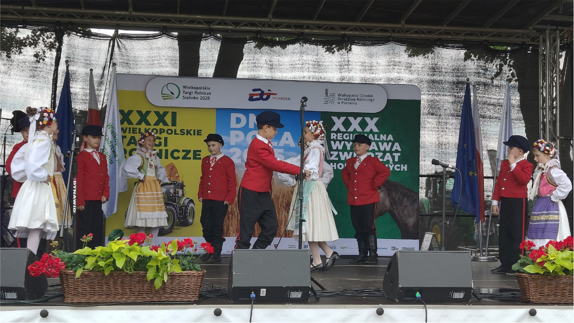 Zespół na scenie