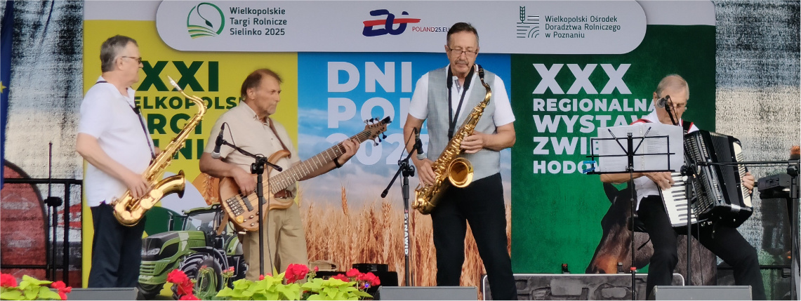 Zespół muzyczny na scenie
