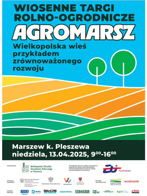 Grafika informacyjna.