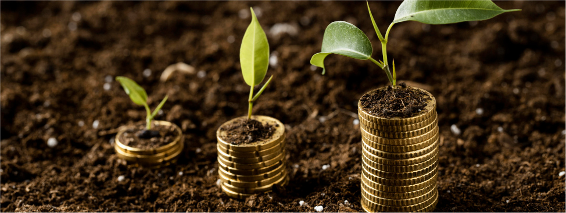 Na ziemi leżą trzy stosy monet, na których są liście sadzonek.