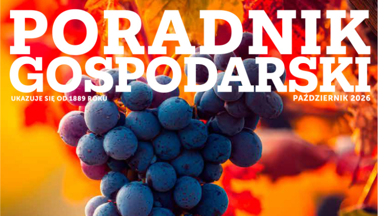 wodr poznan lead pg pazdziernik 2026