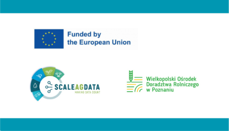 grafika z logotypami projektu