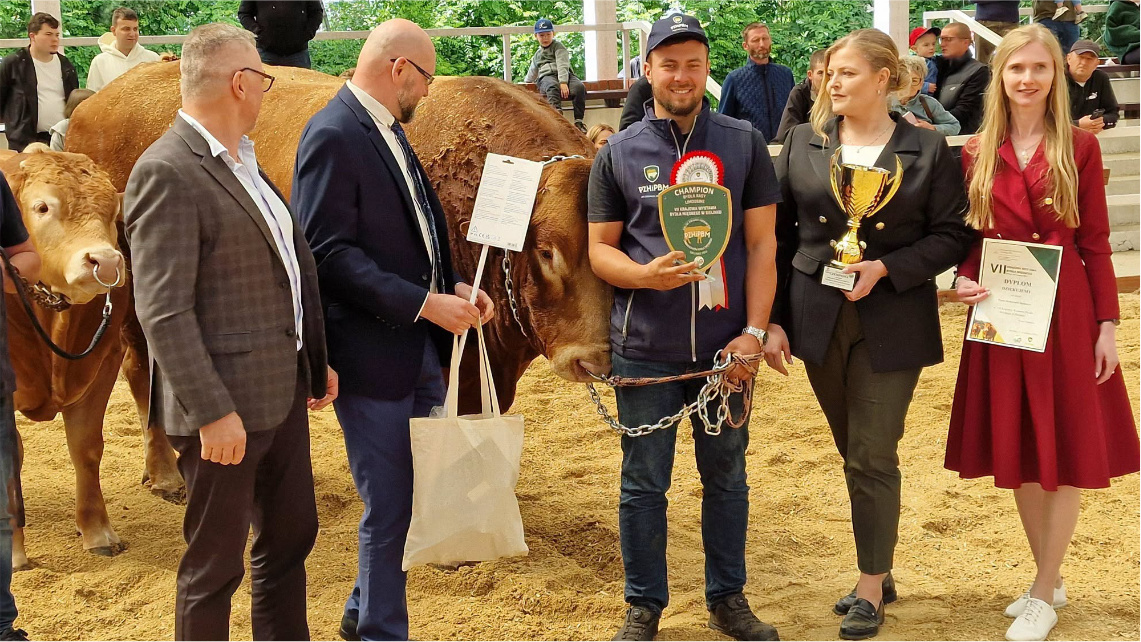 Czempion w kat. buhaje do 24 m-cy w rasie Limousine, p. Hubert Kołoszyc (HONO)