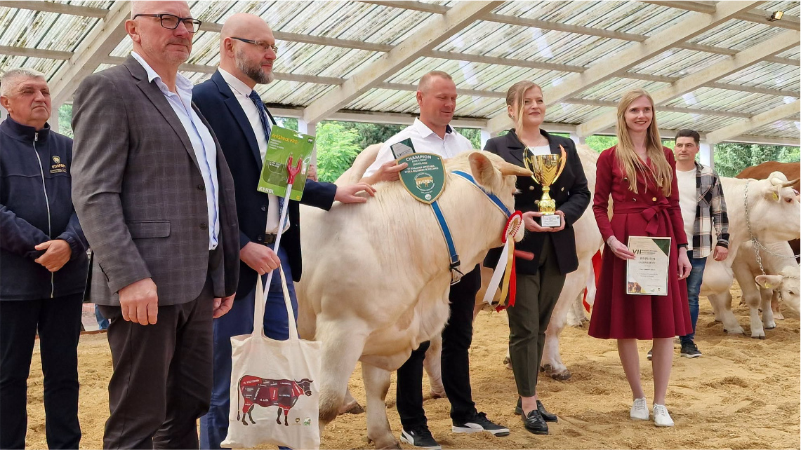 Czempion w kat. buhaje do 24 m-cy rasy Charolaise należący do p. Adama Kolocha (HANER). Od lewej: Jacek Klimza, Prezes PZHiPBM; Janusz Piotrowski, Dyrektor biura PZHiPBM; Adam Koloch, hodowca czempiona; dr inż. Justyna Winiarska; dr Wioleta Barczak
