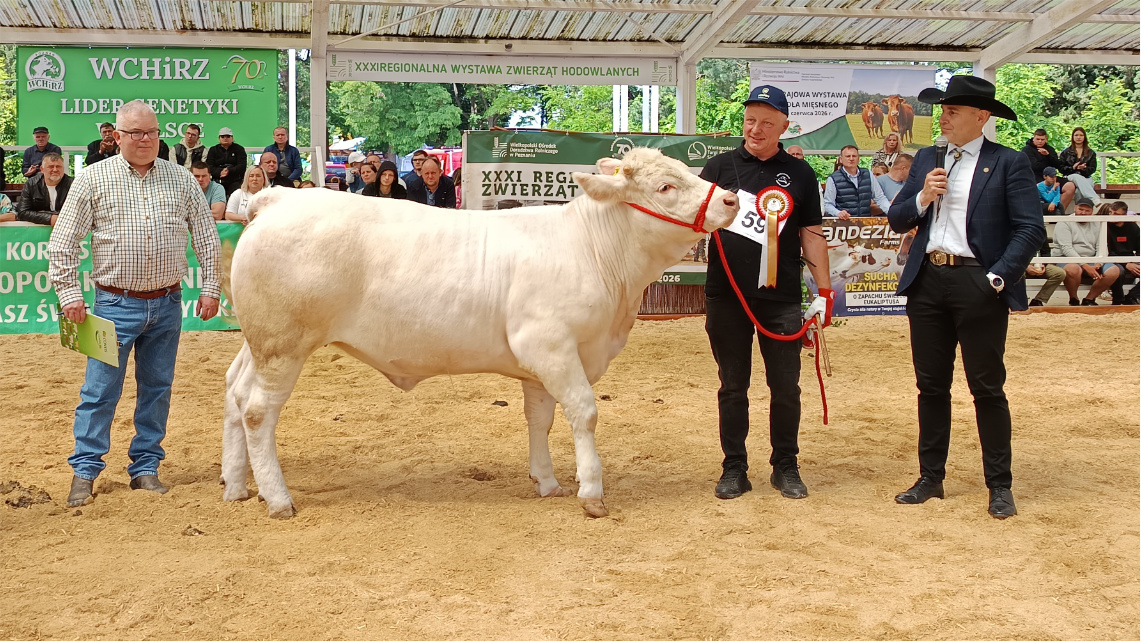 PRISCILLA Czempion w kategorii jałowice do 18 m-cy rasy Charolaise należąca do Krystyny Szczodrowskiej. Od lewej: Ernst Gerard, Przewodniczący komisji, Hodowca oraz prof. Marcin Gołębiewski