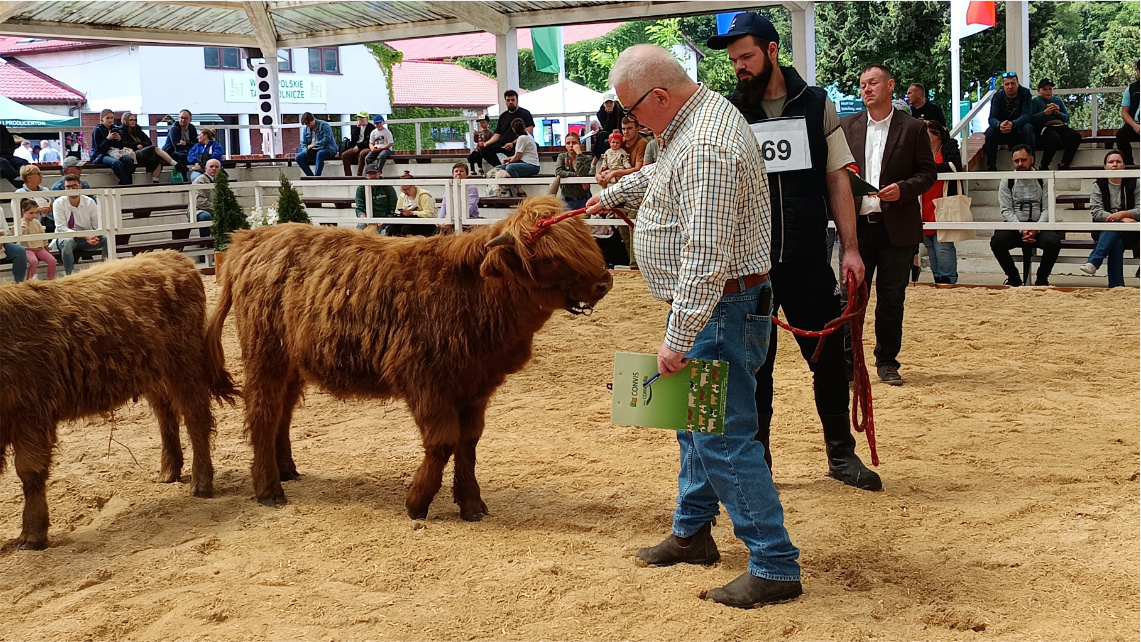 Ocena rasy Highland. Od lewej: Ernst Gerard oraz Marcin Radecki; zootechnik-selekcjoner, członek komisji