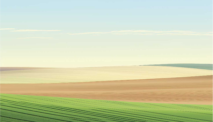 Targi AGROMARSZ w Marszewie